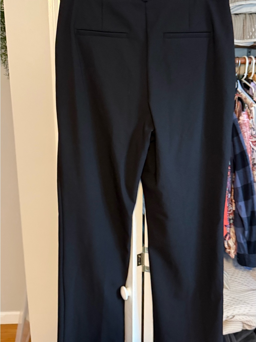 Rachel Zoe pants